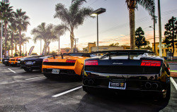 automotivated:  Lamborghini Lineup (by David Coyne Photography) 