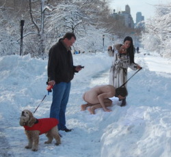 geekdomme:  selinaminx:  nacidoesclavo:  sacándote a pasear  Don’t eat the yellow snow …. unless I tell you too pig … - SelinaMinx  I’m pretty sure the guy with the dog just took a photo with his phone and is texting his friends saying, “dude..you