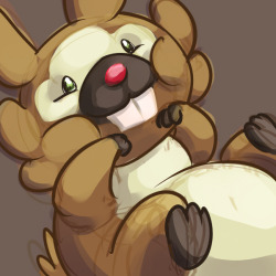 puddlesofcuddles:  BIDOOF. CUS YOLO.    y'know, I actually really like Bidoof, I dunno why people always seem to hate the little guy.