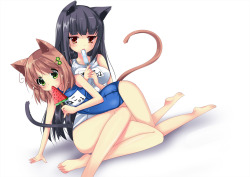 Cat girls&hellip; Making my life awesome since for ever