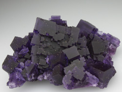 roselynd:  caconym:  flashyredturk:  tigress-has-snapped:   Fluorite  aka the stuff Endermen are made of.  what a cool rock.  It’s like a chunk of the night sky  wow 