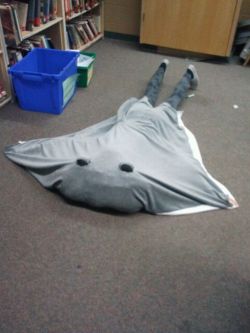 bordering-on-beautiful:  mall0mars:  youalrightfreddy:  This is my teacher right now.  Is your teacher a sting ray  THE TEACHER FROM FINDING NEMO. 