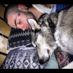 My #cuddles for the night! #boston #malamute #husky #dogsofinstagram #puppy #swag #yolo #worklife #bitchesbejelly #love #bro #bestfriend