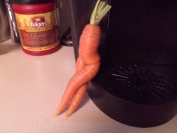 littleredstriderhood:  lightofmeridian:  MY MOM BROUGHT THIS FUCKIGN CARROT HOME FROM THE FARMERS MARKET ADN IM FUGCKIN SOOBBING I NCA NT  thats one sexy carrot 
