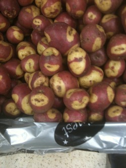 spycandy:  py-bun:  tf2shitfest:  brandnewpart21:  trr3rr: So I went to the supermarket and all of these potatoes are Spy.  LOL RED SPY!!!  Spootatoes.   this is gonna be a thing  my life is complete now 