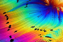 Photomicrographic image of a caffeine crystal, by Stefan Eberhard &hellip; No wonder coffee makes me so happy ~ look at all the pretty coooolooooourrrrrs  :) [Click on the image for teleportation to the gallery ~ from Nikon’s Small World photo competition