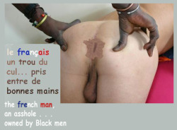 djaam-white:  soumisauxblacks:  In France, more and more respect and obedience for Black men. En France, de plus en plus de respect et d'obéissance pour les hommes Blacks.  That’s what all Europe is in need  