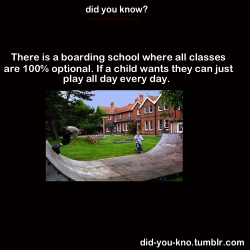 avengingclintasha:  bluhbluhhugedork:  wristsareforbracelets:  fight-the-world:  diagondaley:    SUMMERHILL SCHOOL!!! ENGLAND!!!!   My teacher told me about this in high school. As humans we have a natural thirst for knowledge. While naturally kids did