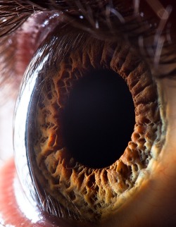 vfrankmd:  sosuperawesome:  Extreme close-ups of human eyes by Suren Manvelyan  Windows to the soul. 