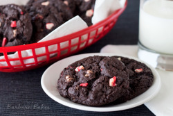 gastrogirl:  chocolate peppermint crunch cookies. 