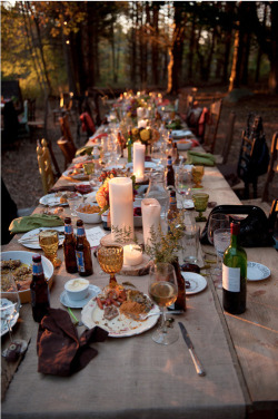 jrdnkpln:  This is somewhat how I envision our wedding. Good food, everyone sitting together, beer, and nature. 