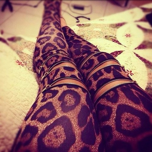 Sexy girls in leopard print