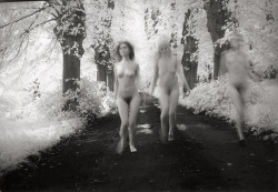 sistersofmoon:  Karin Székessy - Nudes in Forest, 1971  