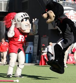 siphotos:  The mascots of Rutgers and Cincinnati face off during a game at Nippert Stadium in Cincinnati. The Scarlet Knights slayed the Bearcats, 10-3. (Jim Owens/Icon SMI) GALLERY: College Football’s Photos of the Week 