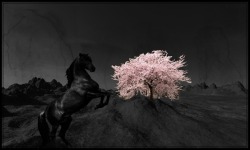 Well, my heart knows better than I know myself, so I’m gonna let it do all the talkin’ (Big Black Horse and a Cherry Tree ~ KT Tunstall)