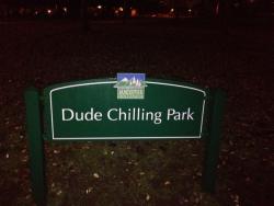 nuggetfucker98:  I SIGNED A PETITION TO MAKE THIS HAPPEN. IF I HAVE EVER DONE ANYTHING IN MY LIFE, IT WAS TO HELP TURN THIS ONE PARK IN VANCOUVER CANADA INTO DUDE CHILLING PARK 