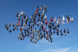 Falling star (138 skydivers form a star pattern over Illinois &hellip; it took them three days and 15 jumps to get it right)