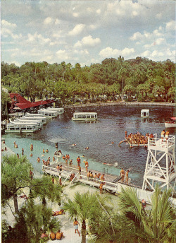 oldflorida:  It’s a beautiful day at Sliver Springs, 1950’s. 