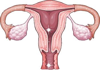 iheartfallopiantubes:  because i’d like to think that my fallopian tubes sparkle too 