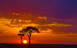 sapphire1707:  IMG_0070 -Gorgeous Sunset -Masai Mara by maqsmughal on Flickr. 