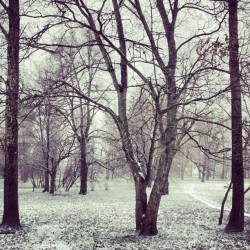 aunik:  Lol…3 completely differrnt mornings.. #tallinn #estonia #kadriorg #snow