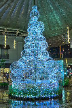 The christmas tree at Paris Van Java Mall