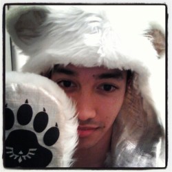voyousloup:  Golden Polar Bear ;3 #spirithood #gift  omfg, you&rsquo;re so cuuute.