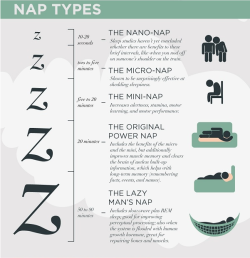studying-hard:  Good side-note for those of us who are sleep-deprived and actually have the time to take a nap. 