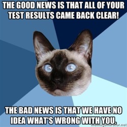 chronicillnesscat:  [Image: 6-piece blue colored background with a Siamese cat. Text reads: “The good news is that all of your test results came back clear! The bad news is that we have no idea what’s wrong with you.”]   Pretty much sums up my life