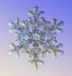 Miraculous intricacies (micrographic photo of a snowflake)