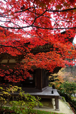 green-tea-and-origami:  Kongorinji Temple (Koto-Sanzan), Shiga, Japan on Flickr by  Hall1998 