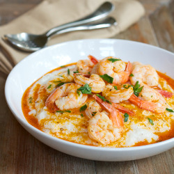calorie-gallery:  Follow me for more HD picture of your fav. food ! :) #ShrimpSpam
