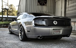 wallpapers-free:  Ford Mustang GT500 Shelby