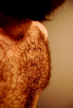 tjokke-blog:Closeup of my chesthair. It’s curly.Like the rest of my hair. 
